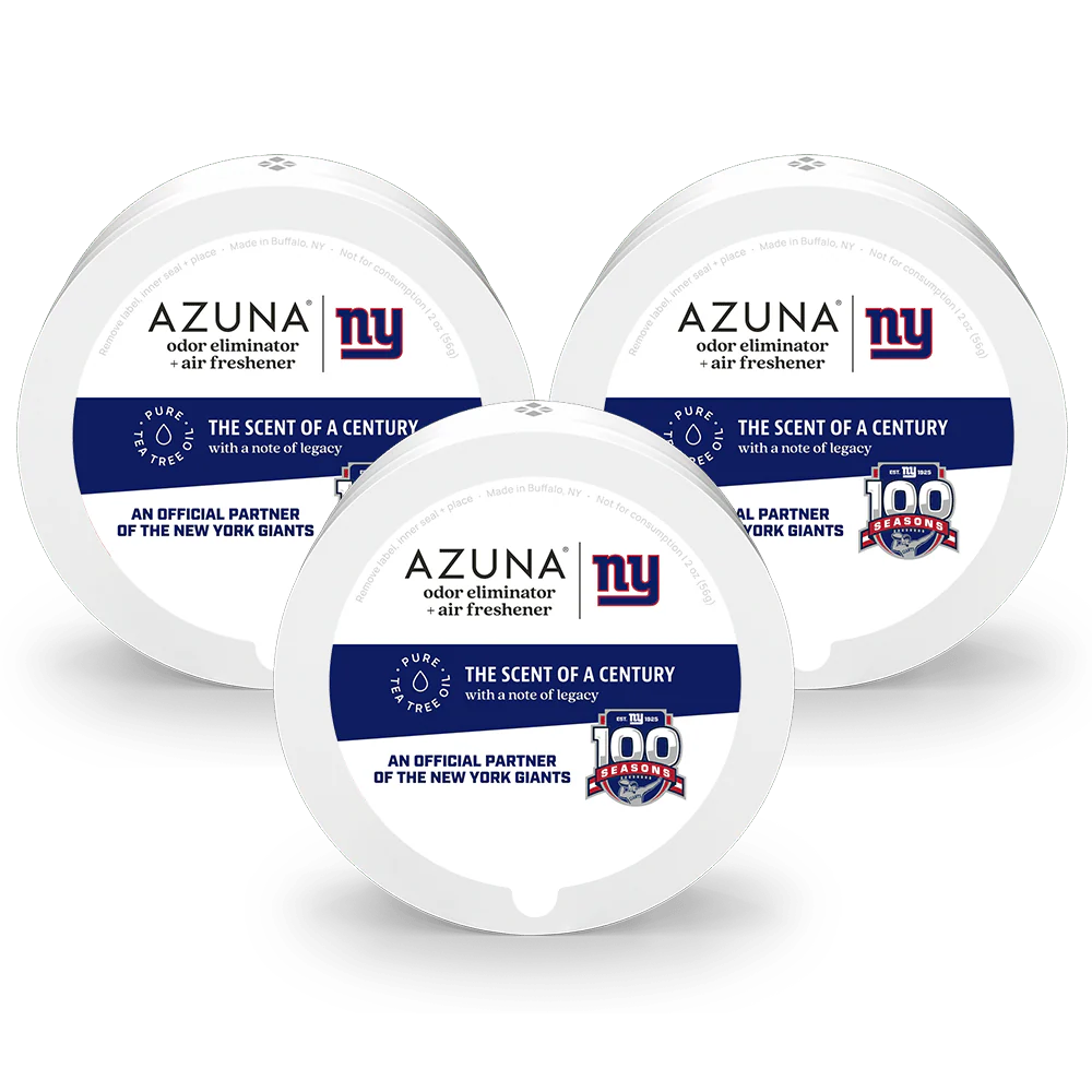 Small Room Trio - Image 11