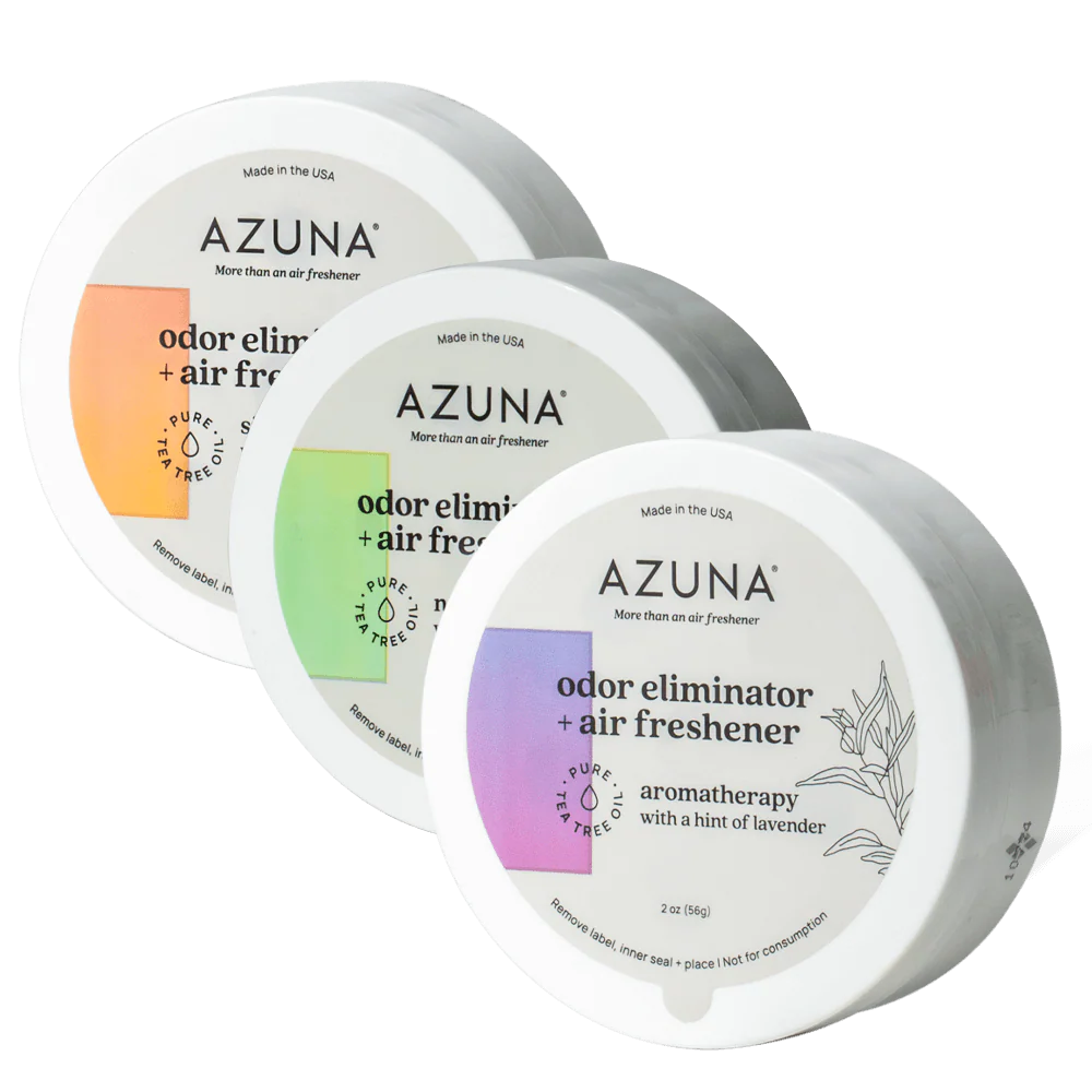 Small Room Trio - Image 18