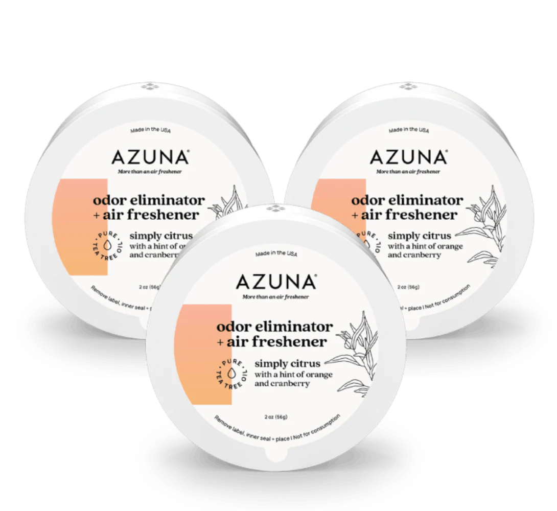 Small Room Trio - Image 3